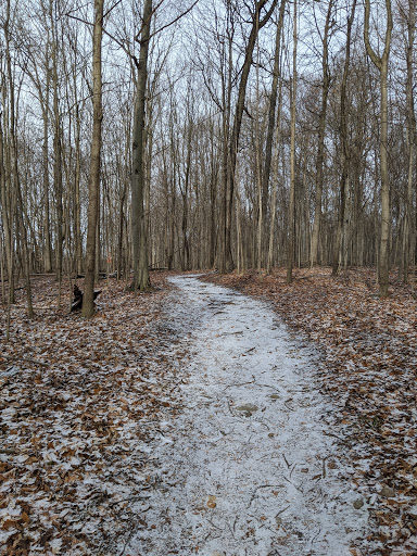 Nature Preserve «Scio Woods Preserve», reviews and photos, Scio Church Rd, Ann Arbor, MI 48103, USA