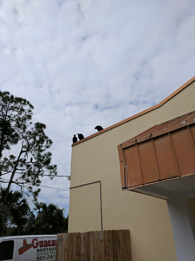 Nature Preserve «Cypress Creek Natural Area», reviews and photos, 10035 W Indiantown Rd, Jupiter, FL 33478, USA