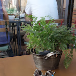 Photo n°1 de l'avis de Alessia.m fait le 13/08/2022 à 11:08 sur le  Verde Salvia à Pavia