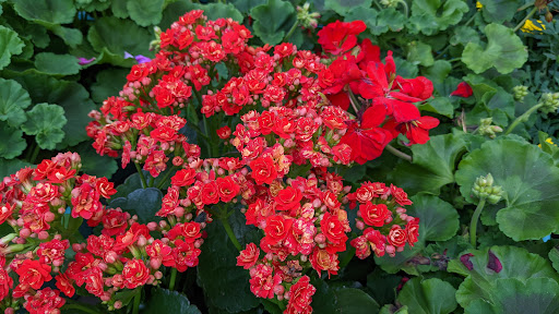 Home Improvement Store «The Home Depot», reviews and photos, 475 Commack Rd, Deer Park, NY 11729, USA