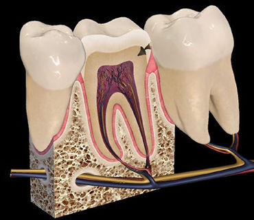 Comentarios y opiniones de Clinica Dental Urgencias Dr. Ricardo Nuñez - Santiago Centro