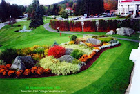 Lucero Lawn & Tree Services