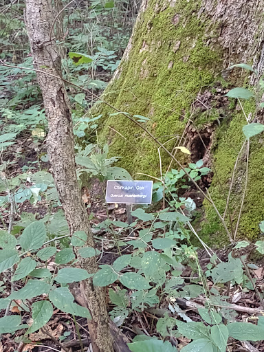 Nature Preserve «Meltzer Woods», reviews and photos, 1522 S 600 E, Shelbyville, IN 46176, USA