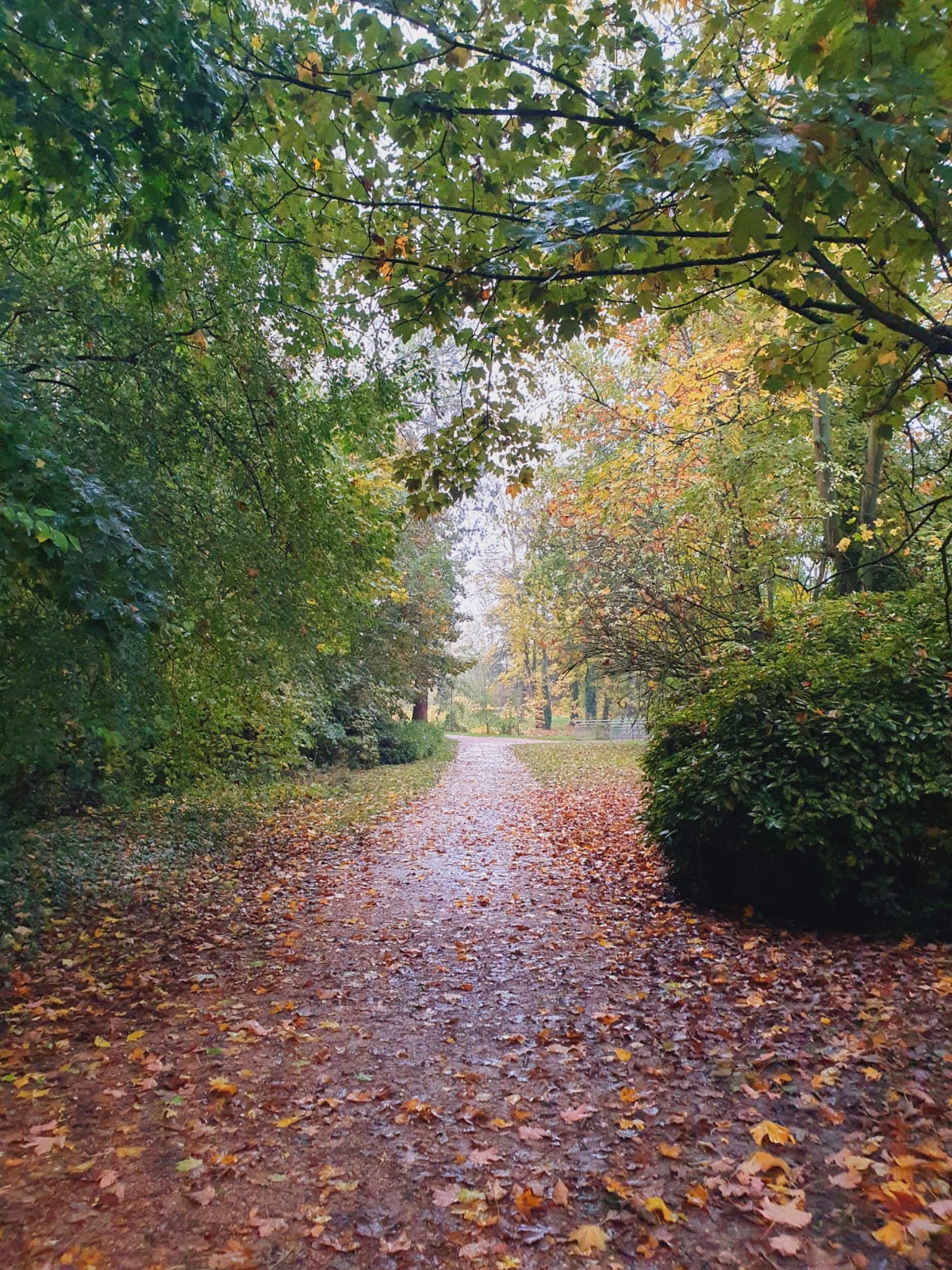 Photo n° 1 de l'avis de Arnaud.o fait le 31/10/2021 à 16:59