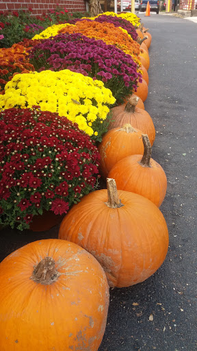 Grocery Store «Trouts Market Inc», reviews and photos, 3 N Main St #1, Woodsboro, MD 21798, USA