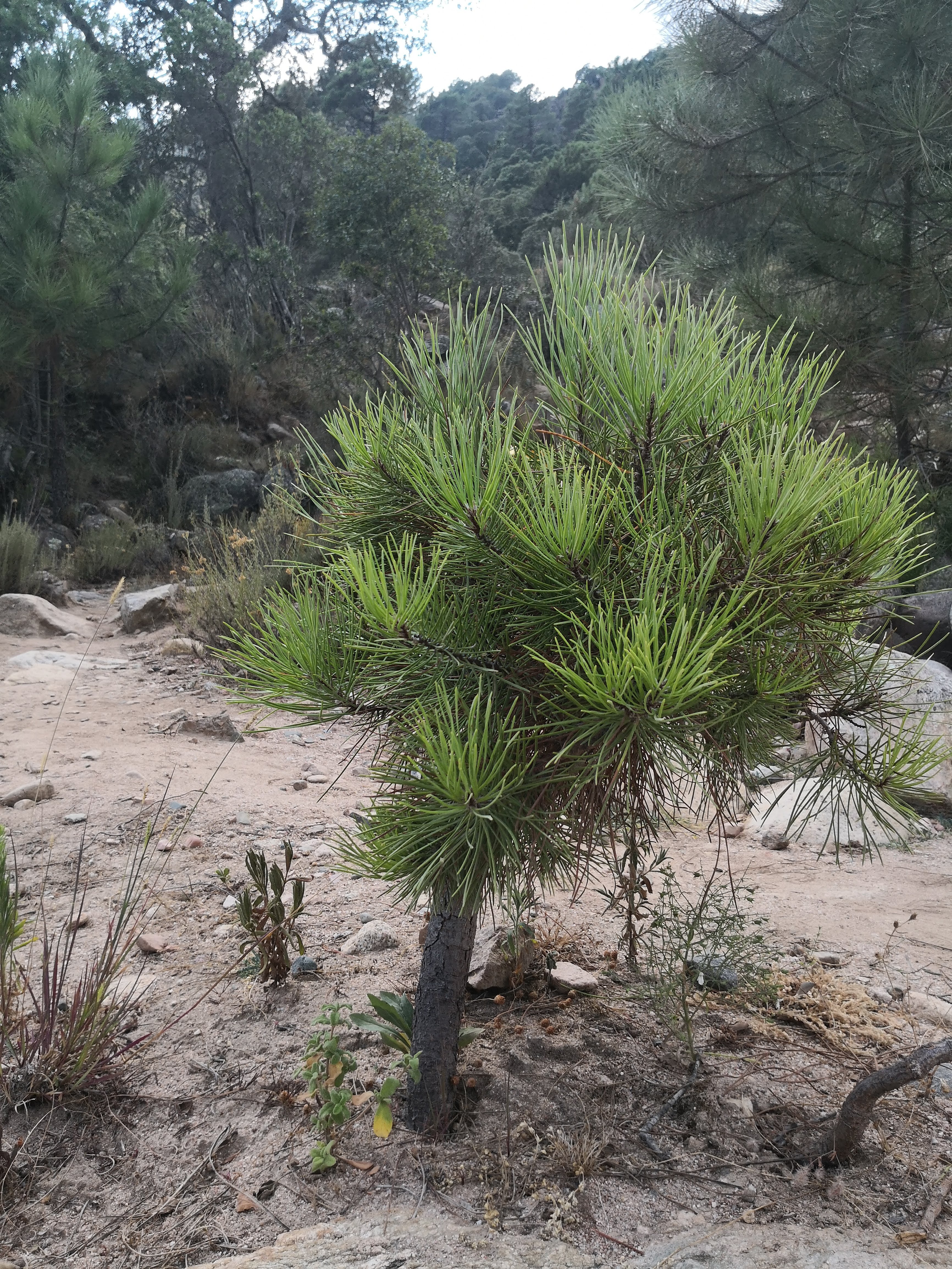 Photo n° 9 de l'avis de Patrick.e fait le 27/08/2018 à 13:33