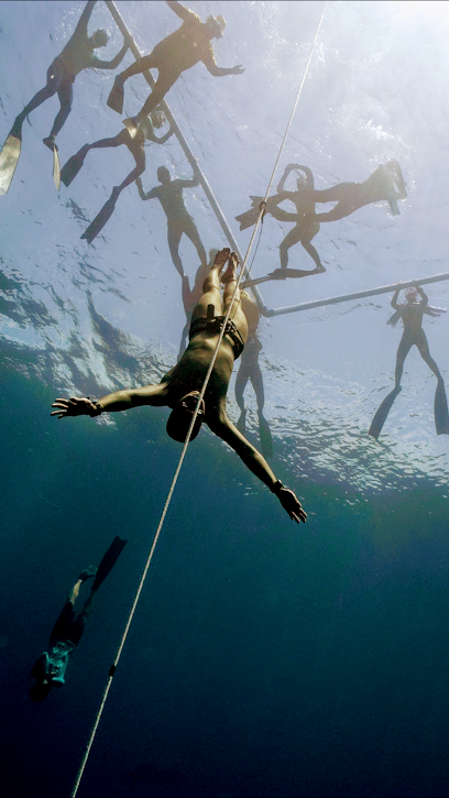 APNEA HK Freediving