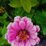 Photo n° 7 de l'avis de Christophe.e fait le 10/08/2023 à 20:14 pour saint avold à Saint-Avold