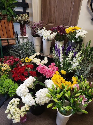 Florist «Village Florist», reviews and photos, 49 Main St, Toms River, NJ 08753, USA
