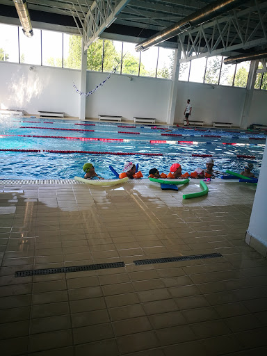 Cursuri de înot pentru adulți Bucharest