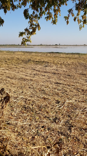 Nature Preserve «Woodbridge Ecological Reserve», reviews and photos, 7730 W Woodbridge Rd, Lodi, CA 95242, USA