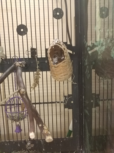 Pet Supply Store «PetSmart», reviews and photos, 401 S Mt Juliet Rd #645, Mt Juliet, TN 37122, USA