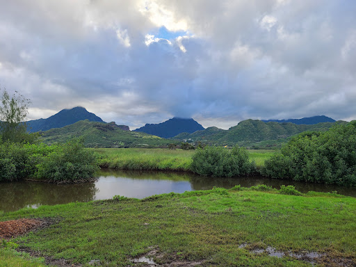Kawai Nui Hiking Trail