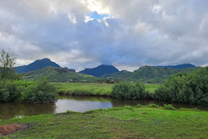 Kawai Nui Hiking Trail