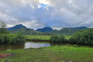 Kawai Nui Hiking Trail image