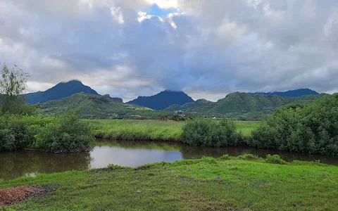 Kawai Nui Hiking Trail image