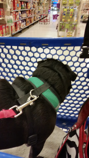 Pet Supply Store «PetSmart», reviews and photos, 57 NJ-23, Wayne, NJ 07470, USA