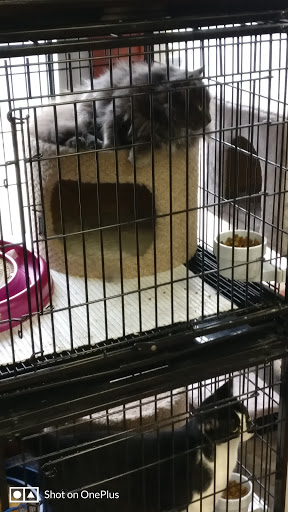 Pet Store «Pet Valu», reviews and photos, 773 Huntingdon Pike, Huntingdon Valley, PA 19006, USA