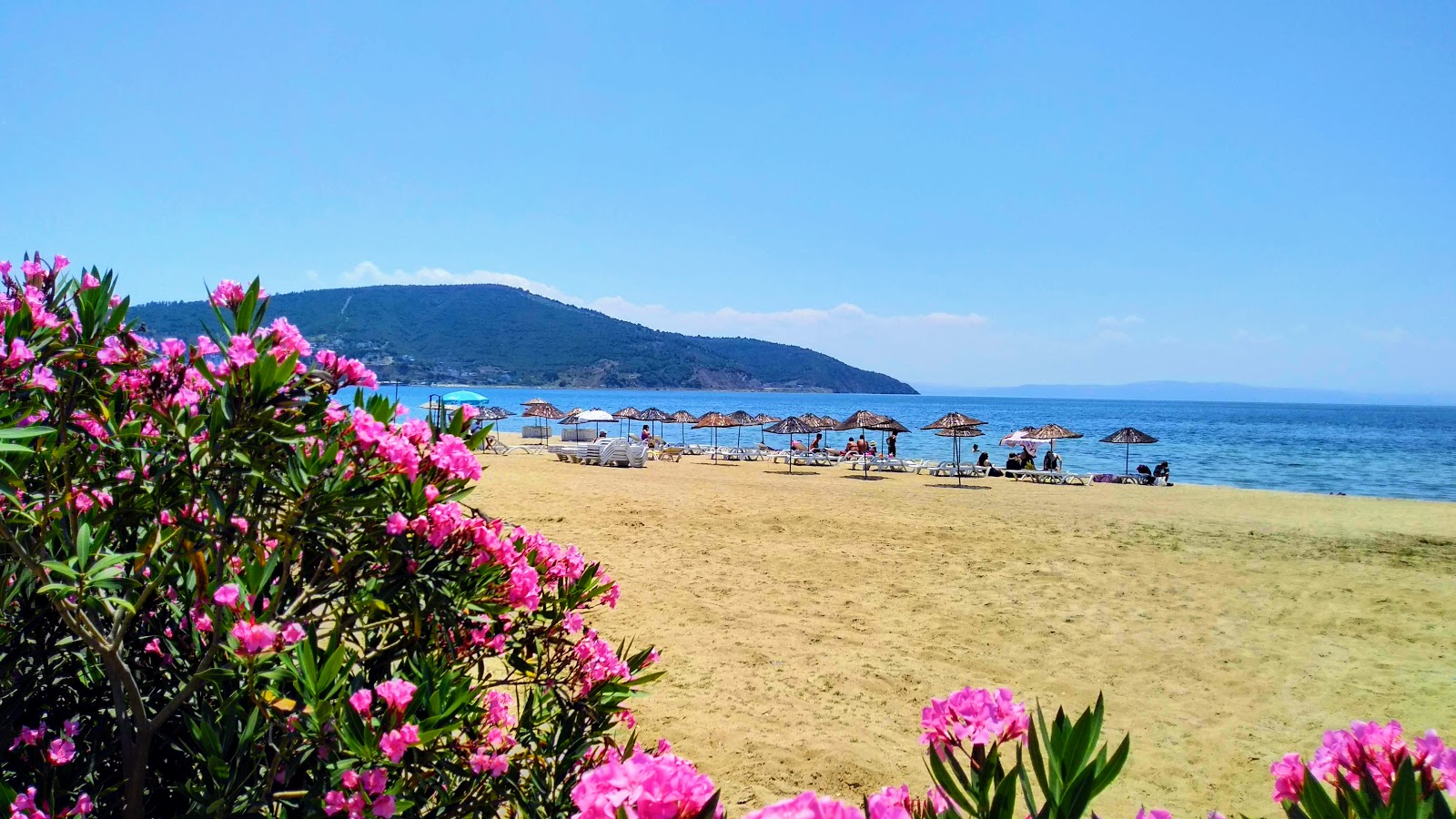 Fotografija Ocaklar beach z dolg zaliv