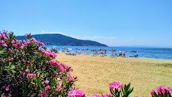 Φωτογραφία του Ocaklar beach με επίπεδο καθαριότητας πολύ καθαρό