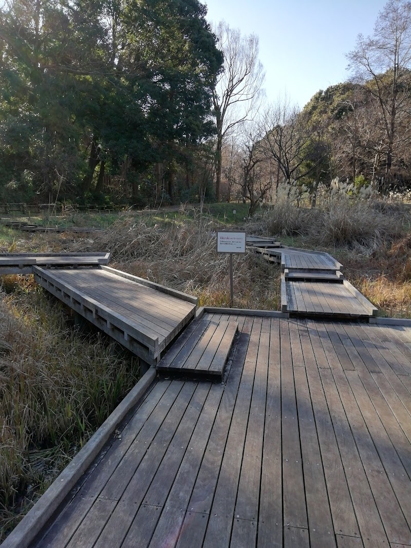 忠生がにやら自然館