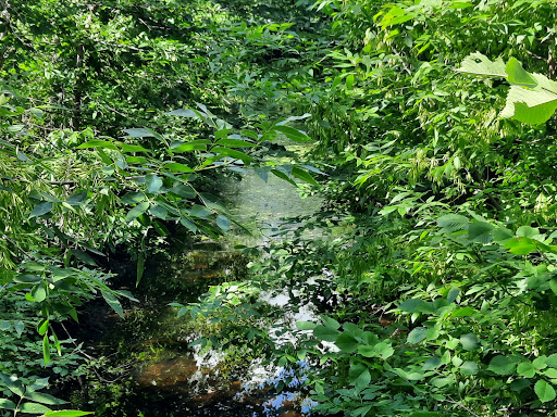 Community Center «New Brighton Community Center», reviews and photos, 400 10th St NW, New Brighton, MN 55112, USA