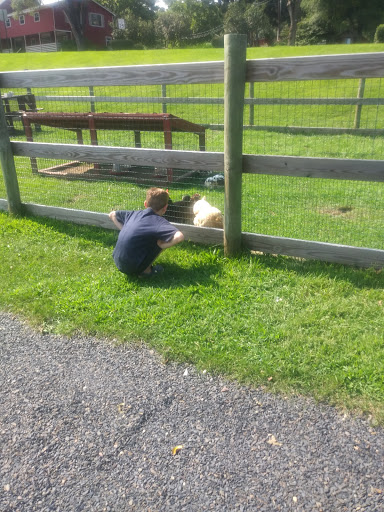 Indoor Lodging «Memorytown USA», reviews and photos, 342 Grange Rd, Mt Pocono, PA 18344, USA