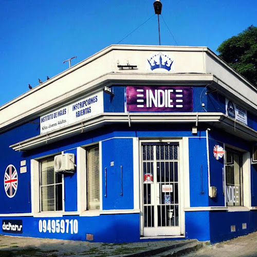 Instituto Indie