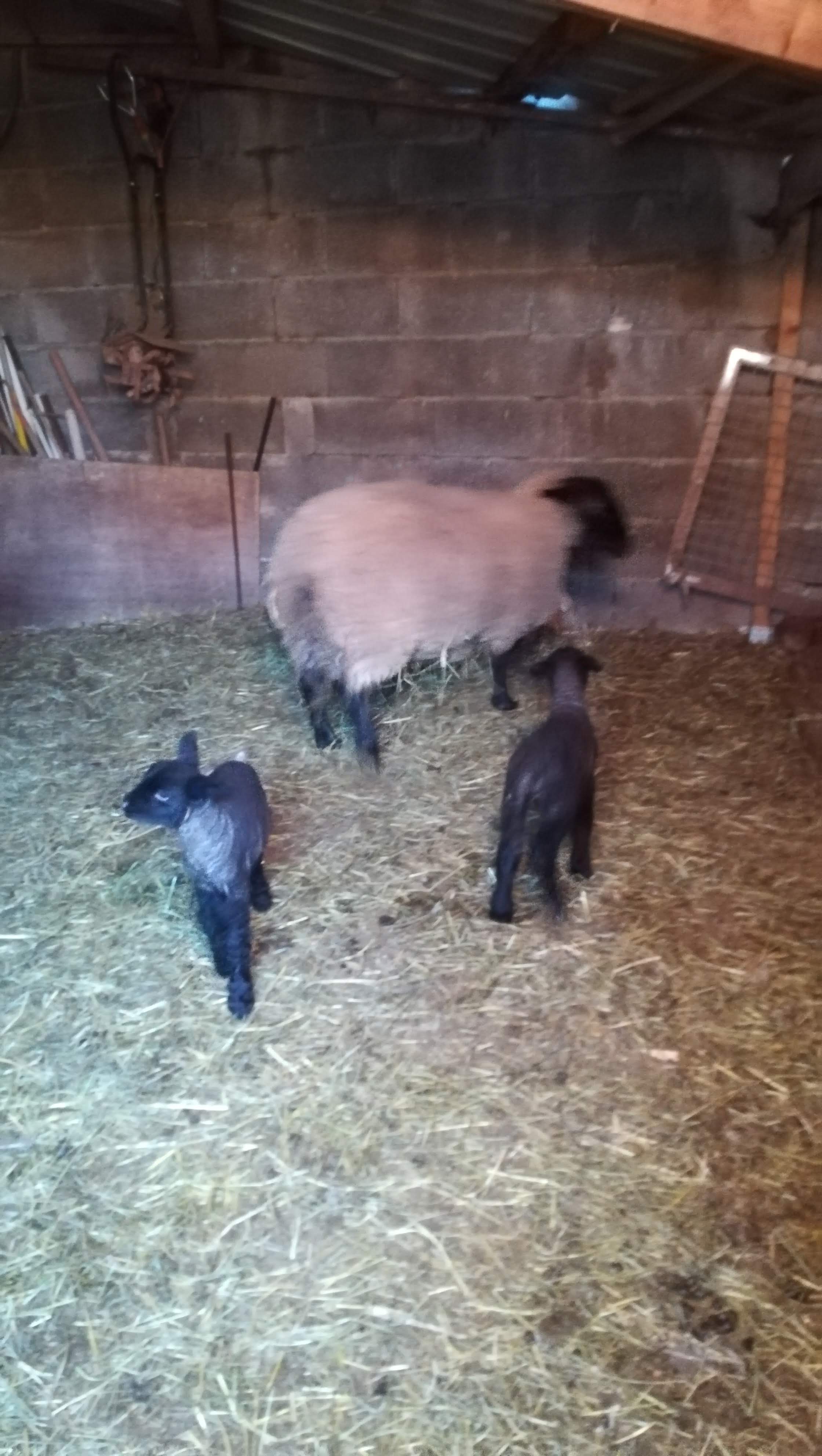Photo n° 1 de l'avis de Sylvie.a fait le 11/04/2019 à 18:49