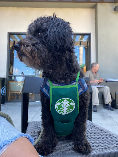 Starbucks image
