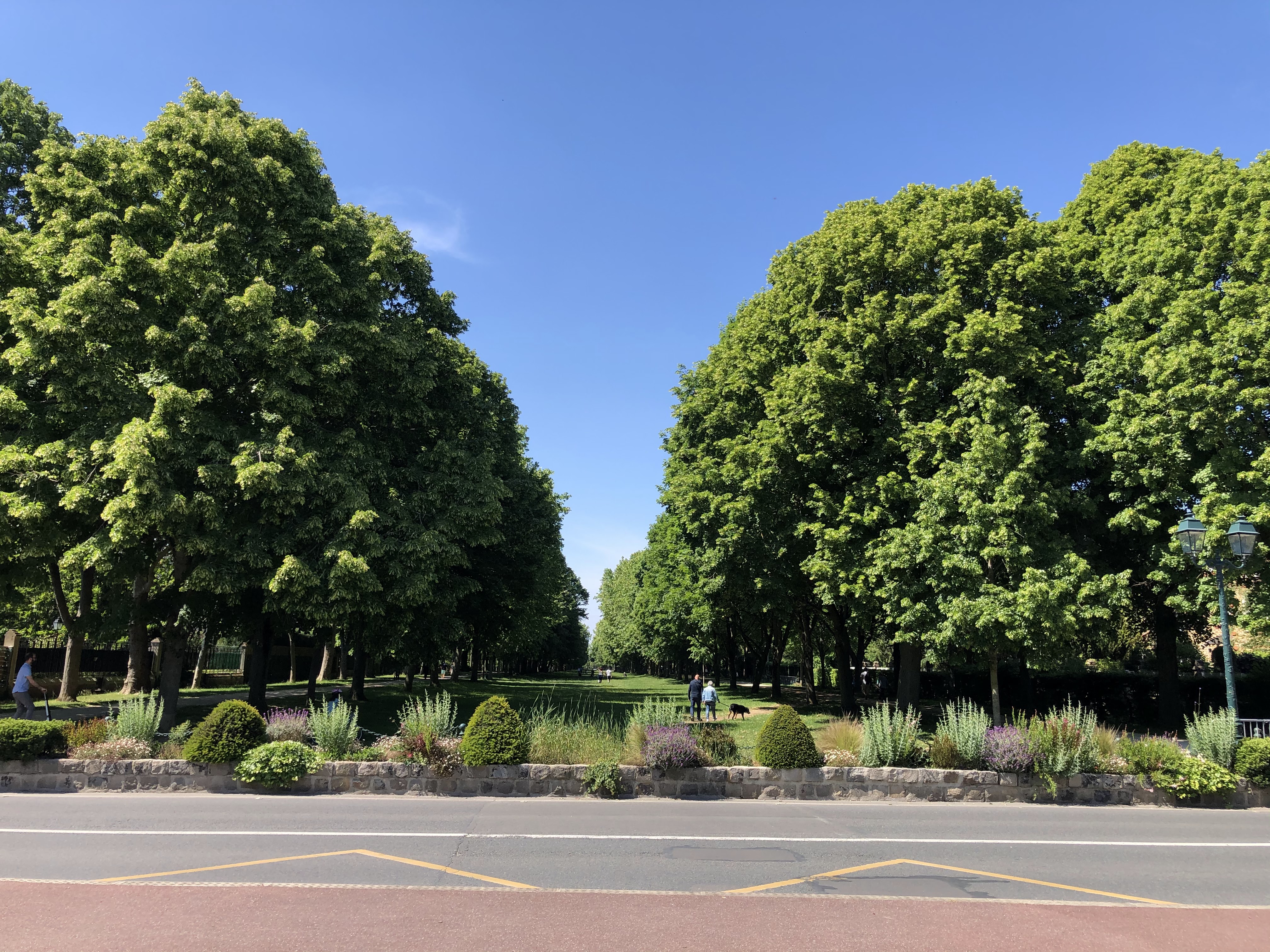 Photo n° 24 de l'avis de Sergiu.u fait le 17/05/2020 à 13:43