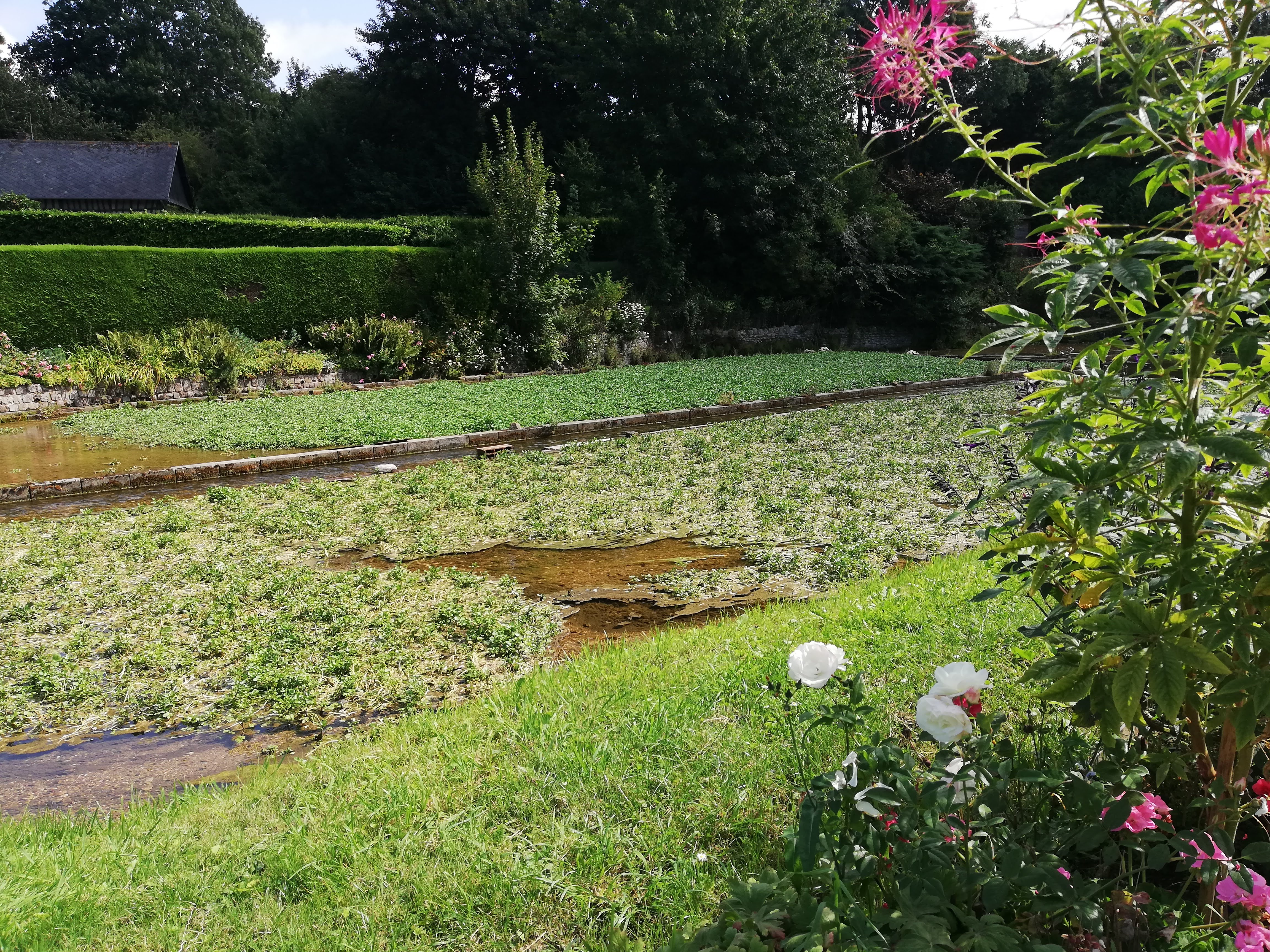 Photo n° 2 de l'avis de louison.o fait le 21/08/2019 à 16:07