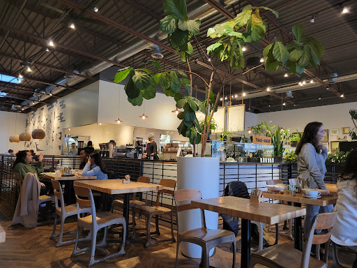 Coffee Shop «Commonwealth Cafe», reviews and photos, 300 Hamilton Row, Birmingham, MI 48009, USA