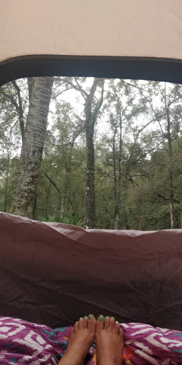 Cafe «Hillsborough State Park Poolside Cafe», reviews and photos, 15402 U.S. 301, Thonotosassa, FL 33592, USA