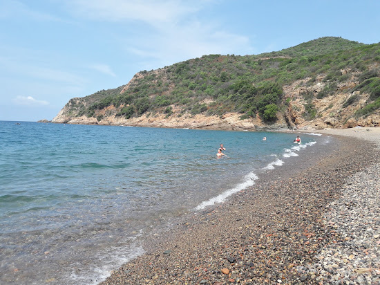 Spiaggia di Bussaglia