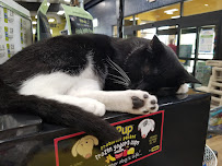 Pet Food Center Green River - Photo 7 - Car repair in Evansville, IN, Evansville