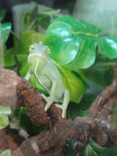 Pet Supply Store «Petco Animal Supplies», reviews and photos, 2000 NE Burnside Rd, Gresham, OR 97030, USA