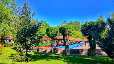 Photos of Family Park
