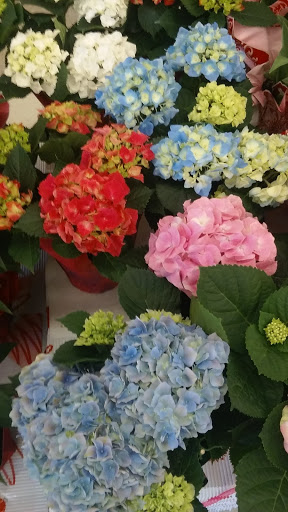 Supermarket «Stater Bros. Markets», reviews and photos, 9575 Central Ave, Montclair, CA 91763, USA