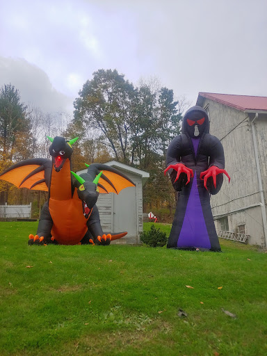 Winery «Palaia Winery», reviews and photos, 10 Sweet Clover Rd, Highland Mills, NY 10930, USA