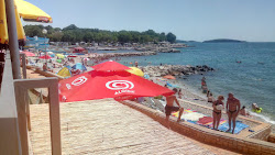 Photo de Hotel Delfin beach avec plusieurs baies spacieuses