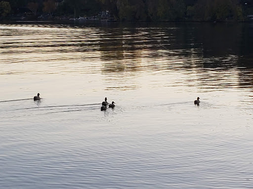 Park «Tony Schmidt Regional Park», reviews and photos, 3500 Lake Johanna Blvd, Arden Hills, MN 55112, USA