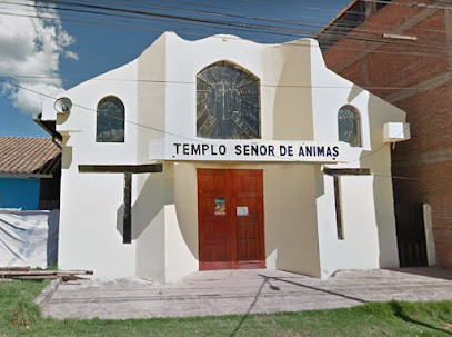 Templo del Señor de Animas