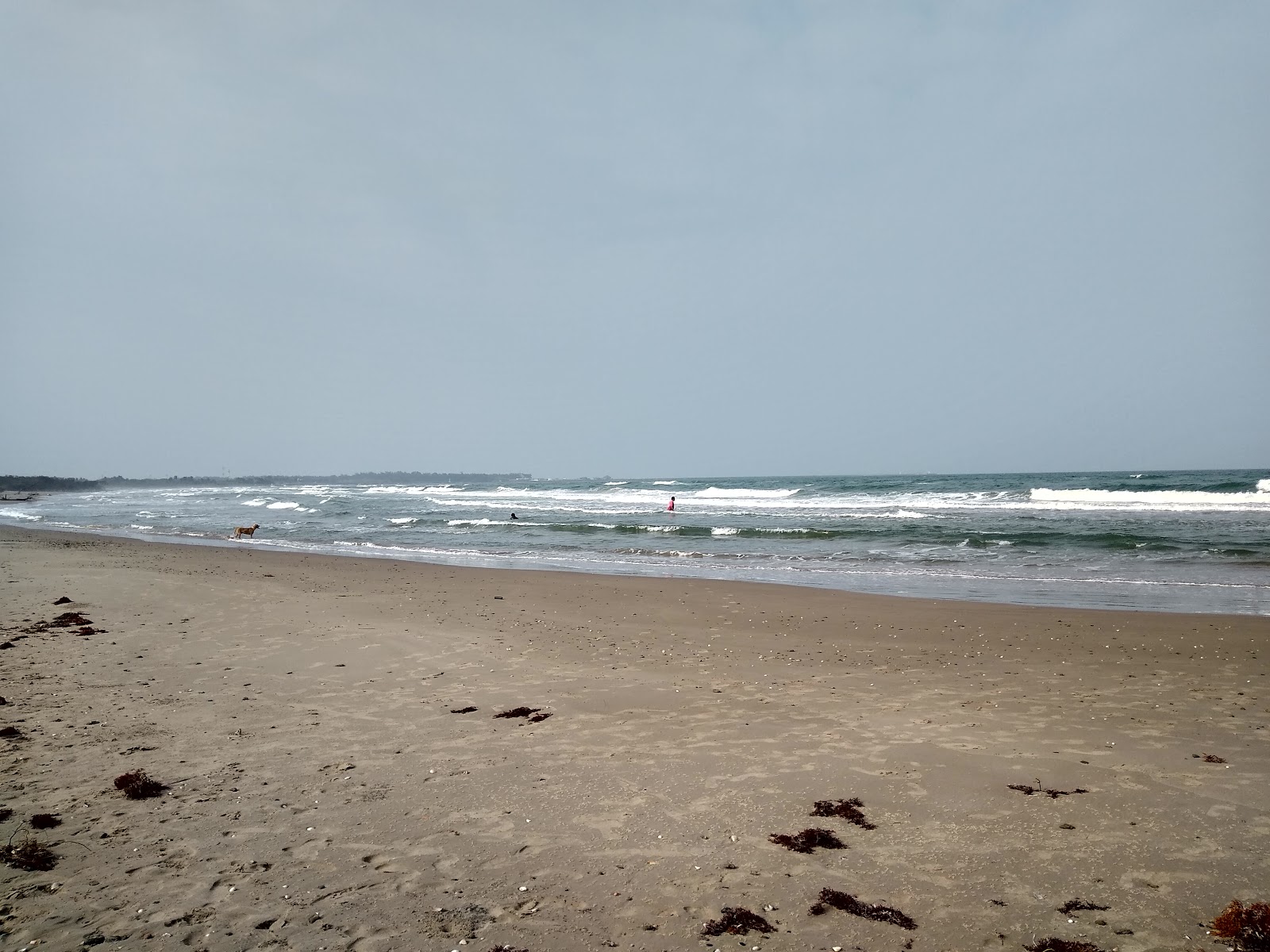 Fotografie cu Playa El Chachalaco cu plajă spațioasă