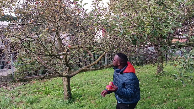 Vidéos hôtels Lupinenhotel Bodensee 78354 Sipplingen