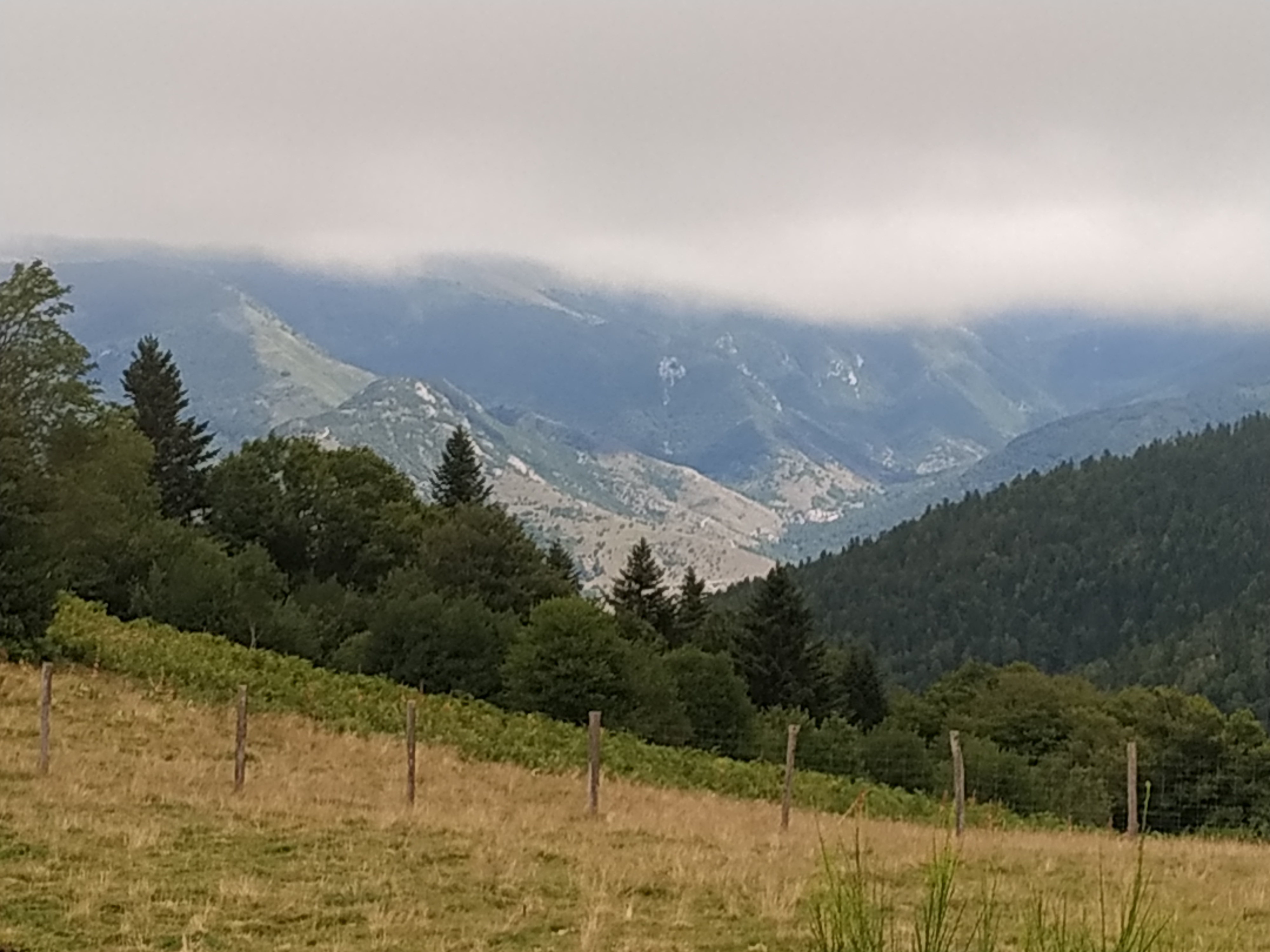 Photo n° 3 de l'avis de C. fait le 17/08/2021 à 17:33