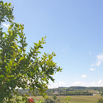 Photo n°4 de l'avis de Francesco.e fait le 30/08/2020 à 15:02 sur le  Ristorante Pizzeria Mirabello à Desenzano del Garda