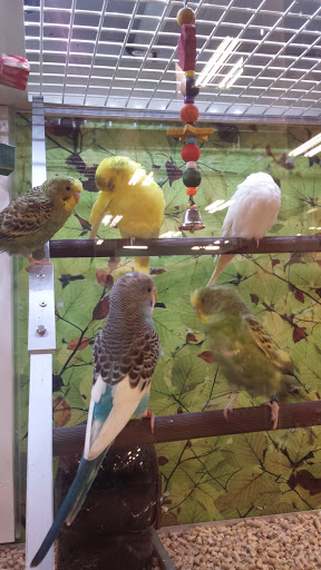 Pet Supply Store «PetSmart», reviews and photos, 2141 N Rose Ave, Oxnard, CA 93036, USA