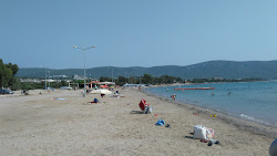 Foto di Gulkent beach area servizi