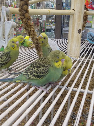 Pet Supply Store «Petco Animal Supplies», reviews and photos, 3637 2700 W, West Valley City, UT 84119, USA